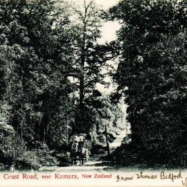 Horse and cart, West Coast Road Kumara