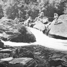 Risky crossing  on the Architect Creek in Westland.1905.