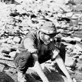 A GOLD PROSPECTOR ON THE WEST COAST.1912.