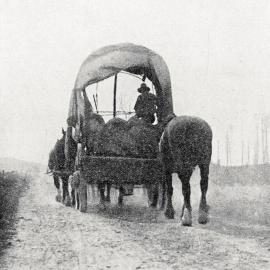 A WAGGONER MAKING A MORNING TRIP ON A SOUTH ISLAND WEST COAST ROAD.1912.