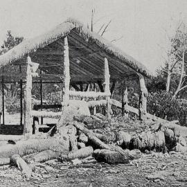 The framework of a shed on the Kotuku oil fields,  coated by a mineral deposit from the water of an extinct gusher.1913.
