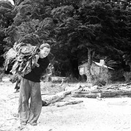 Max Darby carrying a pile of skins  at Okuru, Westland. 1937.