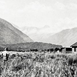 A shepherd at work on a sheep station in the Mahitahi  district.1932.