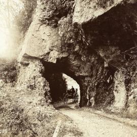 Fern Arch, Buller Gorge
