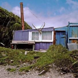 Bach before and after *PHOTO ALBUM*