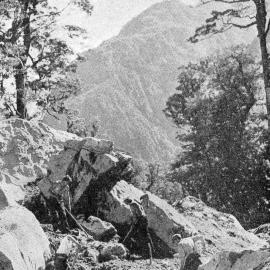 Construction of the road between Hollyford and Okuru in South Westland.1938.