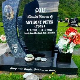 Tony Coll – West Coast & Kiwis Great . Kiwi # 503