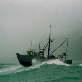 F.V Grace Mary riding out a NE gale on double anchors in Jackson Bay, 1988