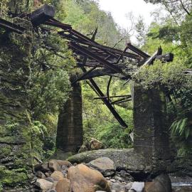 NEW REWANUI, MIDDLE BRAKE LOOP TRACK. GREYMOUTH *PHOTO ALBUM*