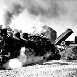  Coal being unloaded into railway trucks at Rapahoe.ca.1950- 1969.
