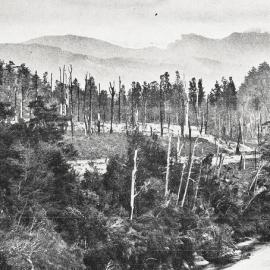  The Maruia valley from the old road between Murchison and Lyell - The Maruia River is in the foreground.1930.