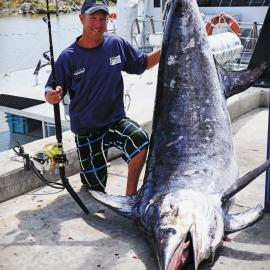 Port of Greymouth swordfish