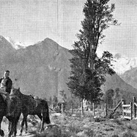 1937 - Farm worker and horses on a road near Weheka. NB: Weheka was renamed Fox Glacier (after the glacier 6 km away) in the 1940`s.