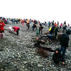 Greymouth 150th beach gold bar hunt *PHOTO ALBUM*