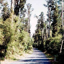 The road to the Glaciers - Ferguson`s Bush.1971.