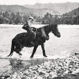 A timber worker on horseback returning home from a days work at the mill.Buller District.1931.