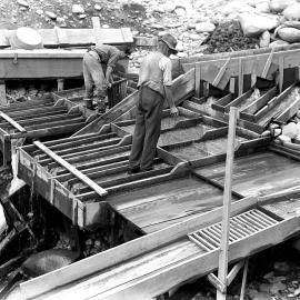  Two men inspecting a bank of sluice boxes during gold mining operations in Westland. Exact location unknown.1935.
