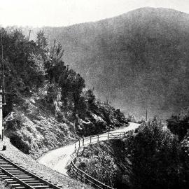 A VIEW OF THE GORGE, NEAR GREYMOUTH.1910 - Kiwi Point