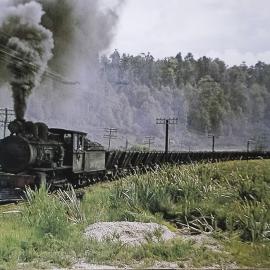 Steam train at Red Jacks near Ngahere