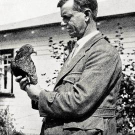 A man holding a wild kea that was captured in the Westland province.1931.