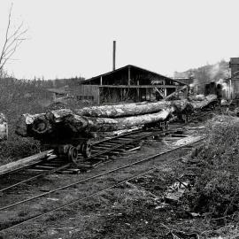 RURU SAWMILL-- 1959.