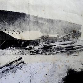 Wallis Siding and the Kopara Mill. Late 1920s. *PHOTO ALBUM*