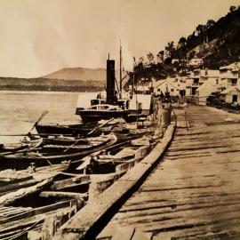 Fleet of coal punts, Grey River