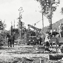 Loading logs onto a waiting lorry at Kowhiterangi.17 APRIL,1935.