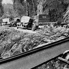 Fallen girders holding up traffic on the Weheka Road, South Westland.1939.