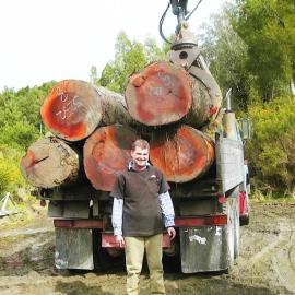 Logging truck