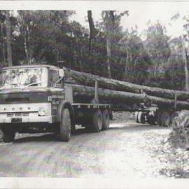 Becker's Ahaura truck with some long sticks