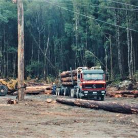 Kopara Bushmen getting logs for the Kopara Sawmill at Ngahere. 