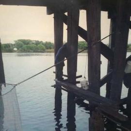Whitebaiting under the Coal Wharf
