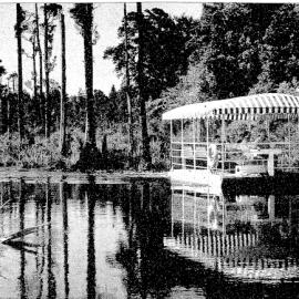 The Takutai Belle, the Africa Queen of the West Coast, gently plies the swamps between Hokitika and Lake Mahinapua.