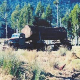 GMC logging truck carrying large log