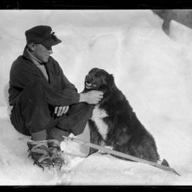 An unidentified man and his dog at the Franz Josef Glacier.1930`s.