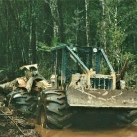 Logging natives on the Mitchells Rd for Timberlands