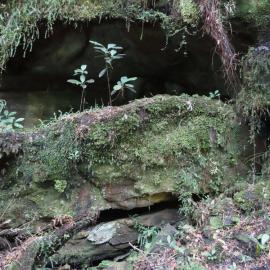 ALBUM - The old O`Brien Mine -   The Old Runanga Mine as it was first called started in 1927 .