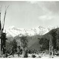 The Southern Alps south of Harihari . 1982.