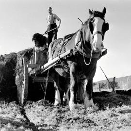 	 Loading the farm dray with ensilage at an unidentified station in the Koiterangi Valley  near Hokitika. 1947.