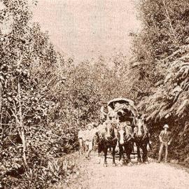  Diggers shifting camp, Blue Spur Road , Hokitika.1895.