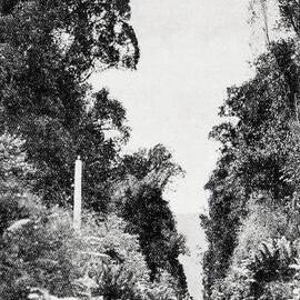 On the  road to Jackson Bay.1922.