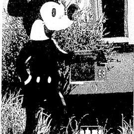 Mickey Mouse letterbox, Cobden