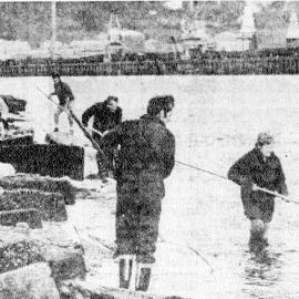 Cobden whitebaiters