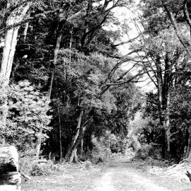 The West Coast Road.1879.