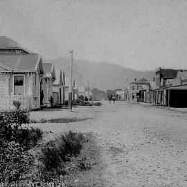 Palmerston Street, Westport .ca.1880.