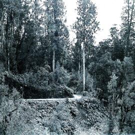 Cook's River Road , WAIHO.