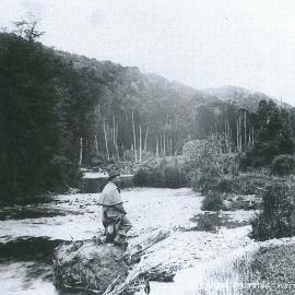 Hope Crossing, Westland.