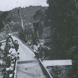 Water Race,Okarito with Mt Cook in background.ca.1868-69.