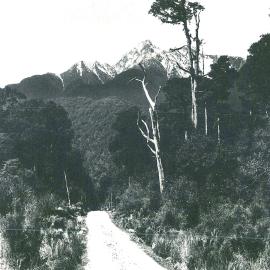 South Westland - Waiho Gorge.No date.